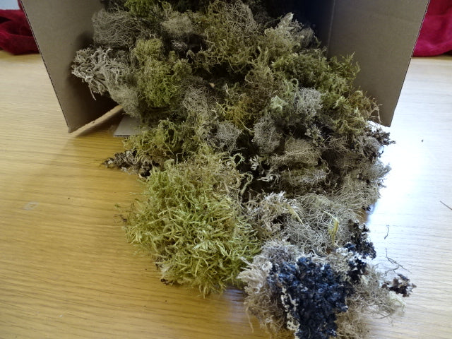 Moss and Lichen approx 300g