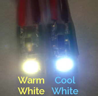Ampoules LED blanc chaud 12VDC paquet de 10