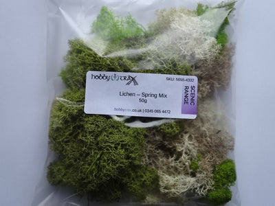 Lichen - mélange printanier sachet 50g