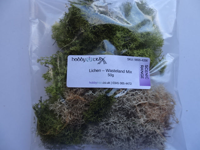 Lichen - mélange friche sachet 50g