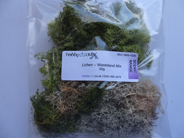 Lichen - wasteland mix 50g bag