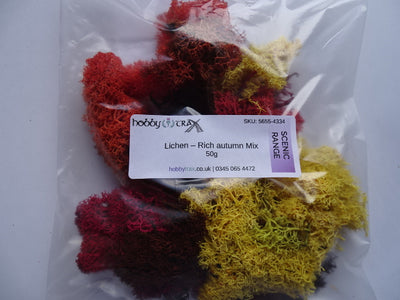 Lichen - riche mélange d'automne sachet 50g