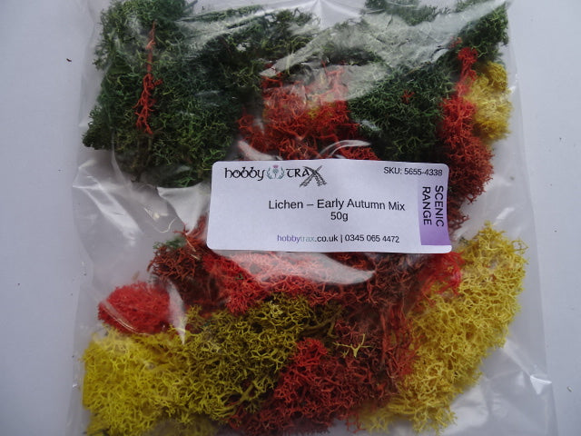 Lichen - early autumn mix 50g bag